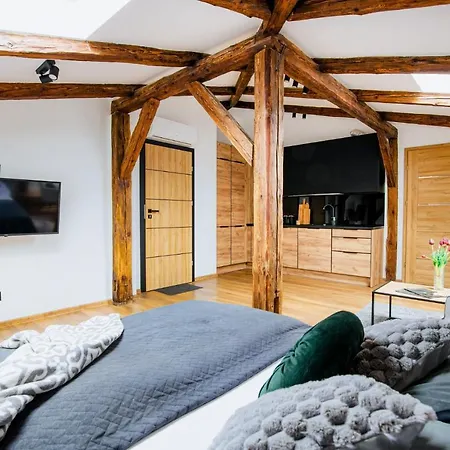 דירה Vip ז'שוב