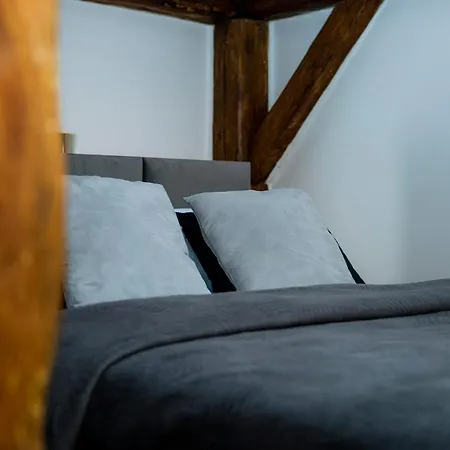 דירה Vip ז'שוב