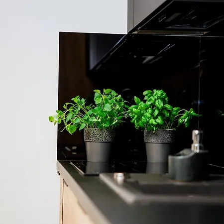 דירה Vip ז'שוב