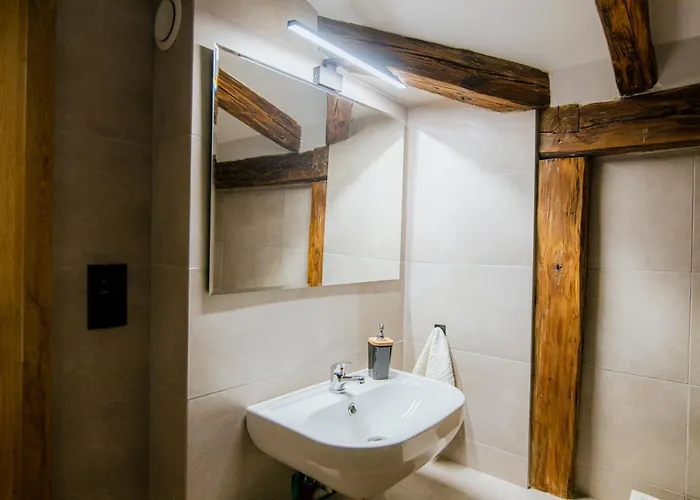 Vip Апартаменты *