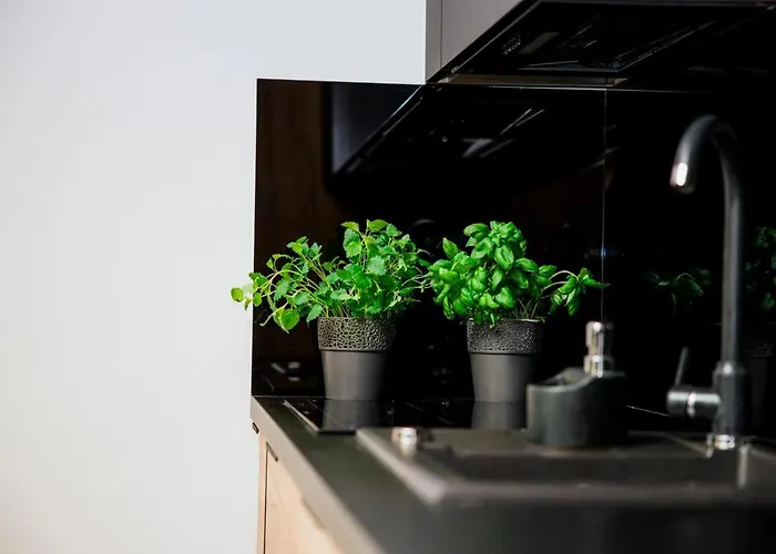 Апартаменты Vip Жешув